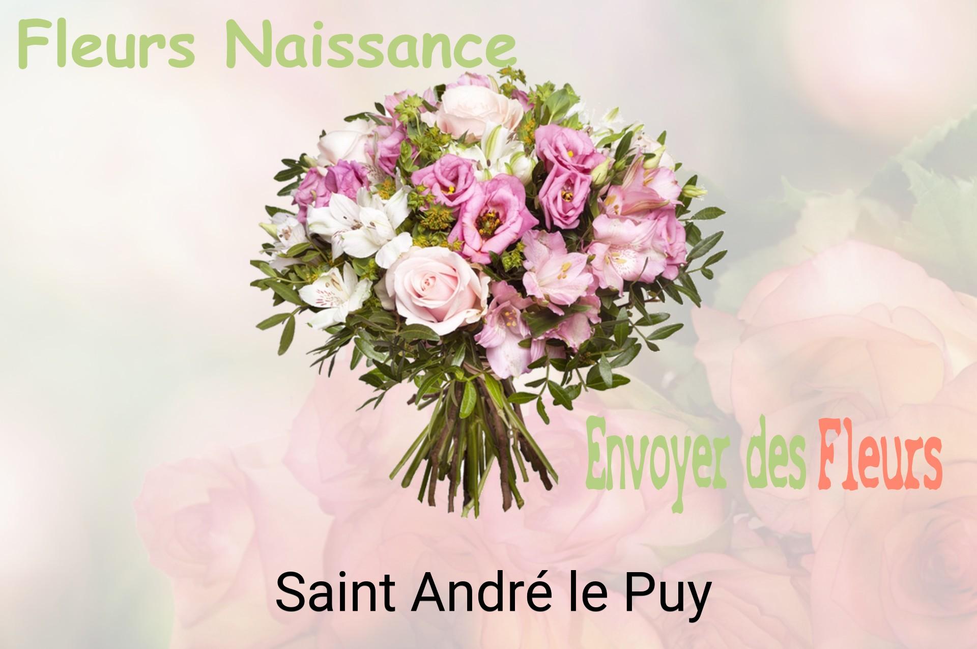 Bouquet de fleurs de naissance livré à Saint-André-le-Puy