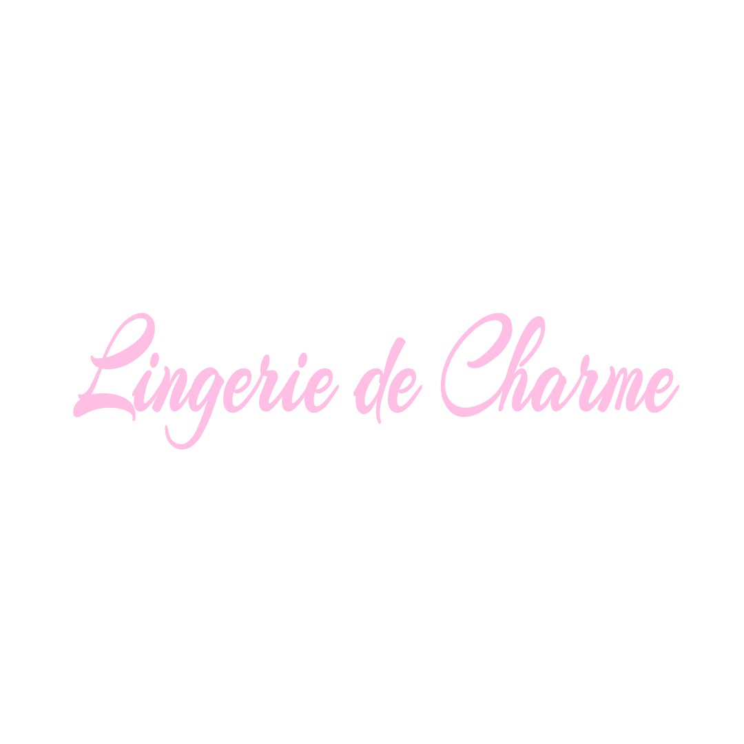 LINGERIE DE CHARME SAINT-ANDRE-LE-PUY